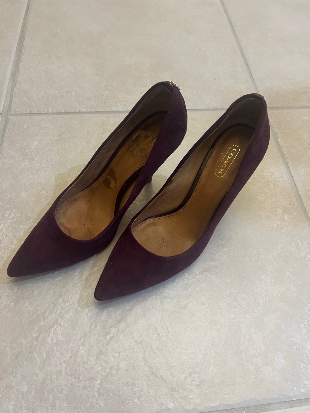 Coach Women's Pointed Toe Suede Pumps in Plum